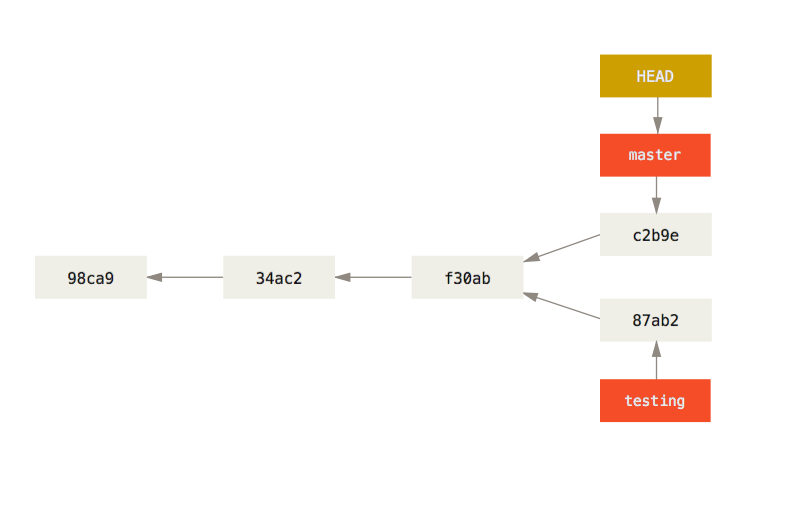 图2：分支