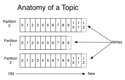 log_anatomy